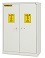 Armadio CHEMISAFE 120 Basic Woodline - strumenti da laboratorio - TecnoLab